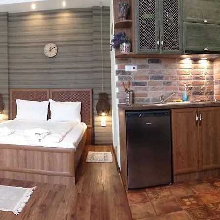 Guest Maria Luiza Varna