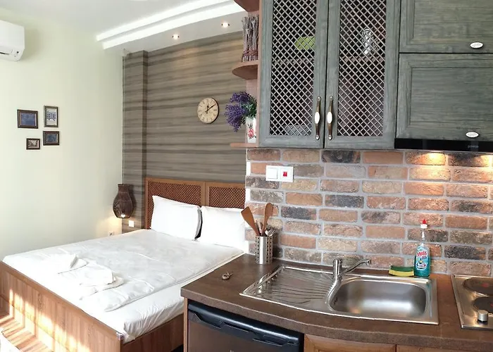 Guest Maria Luiza Várna