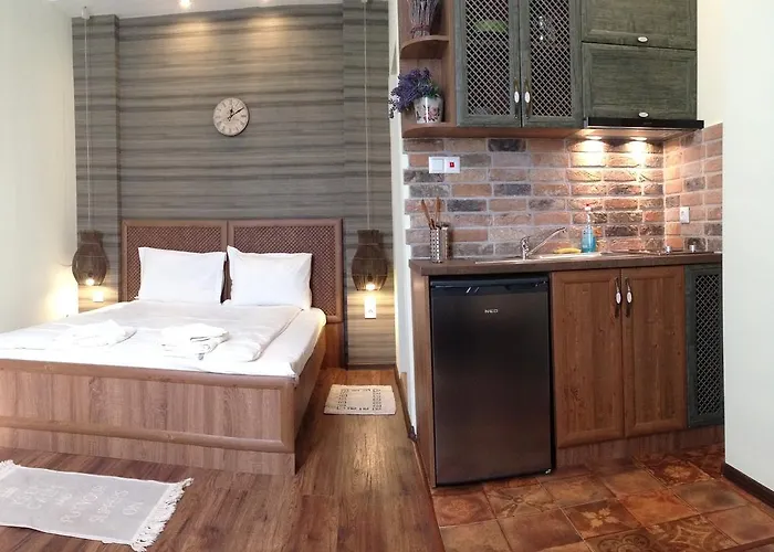 Guest Maria Luiza Várna