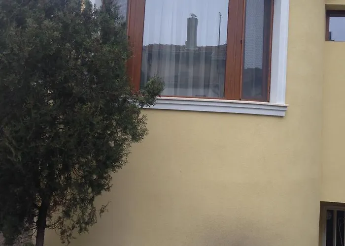 Guest Maria Luiza Várna