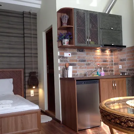 Guest house Guest Maria Luiza 3*