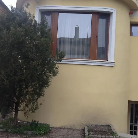 Guest Maria Luiza Варна