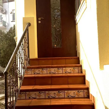 Guest Maria Luiza Варна