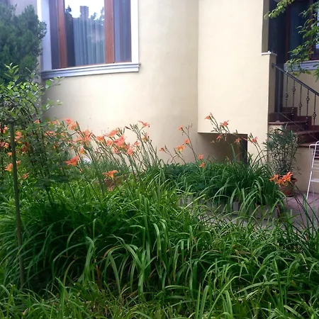 Гостевой дом Guest Maria Luiza